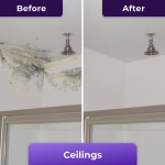 NuroClean image