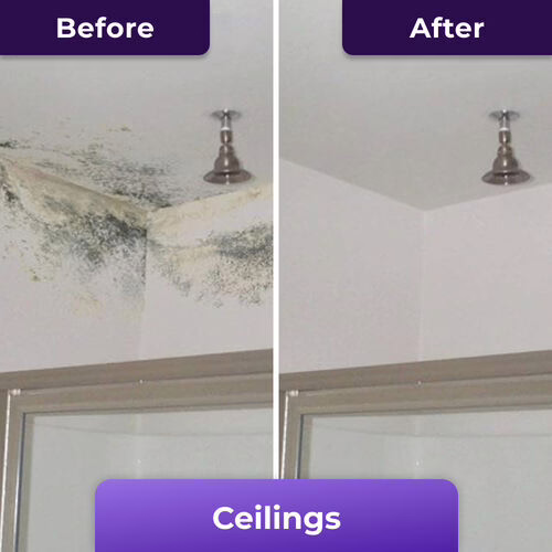 NuroClean image