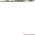 NuroClean image